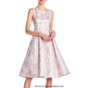 Adrianna Papell Champagne Color Dress